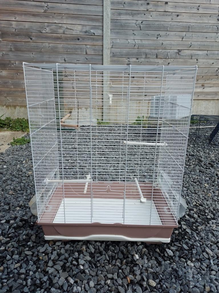 Cage à oiseaux, Enlèvement, Bois, Cage à oiseaux