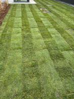 Graszoden 38 vierkante meter, Jardin & Terrasse, Gazon & Gazon artificiel, Enlèvement ou Envoi, Comme neuf