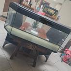 Aquarium 400 450l à vendre ou échanger