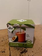 Avocado boom kweken, Ophalen of Verzenden, Zo goed als nieuw