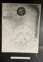 Zeer mooie litho van Pierre-Yves Trémois,, Enlèvement