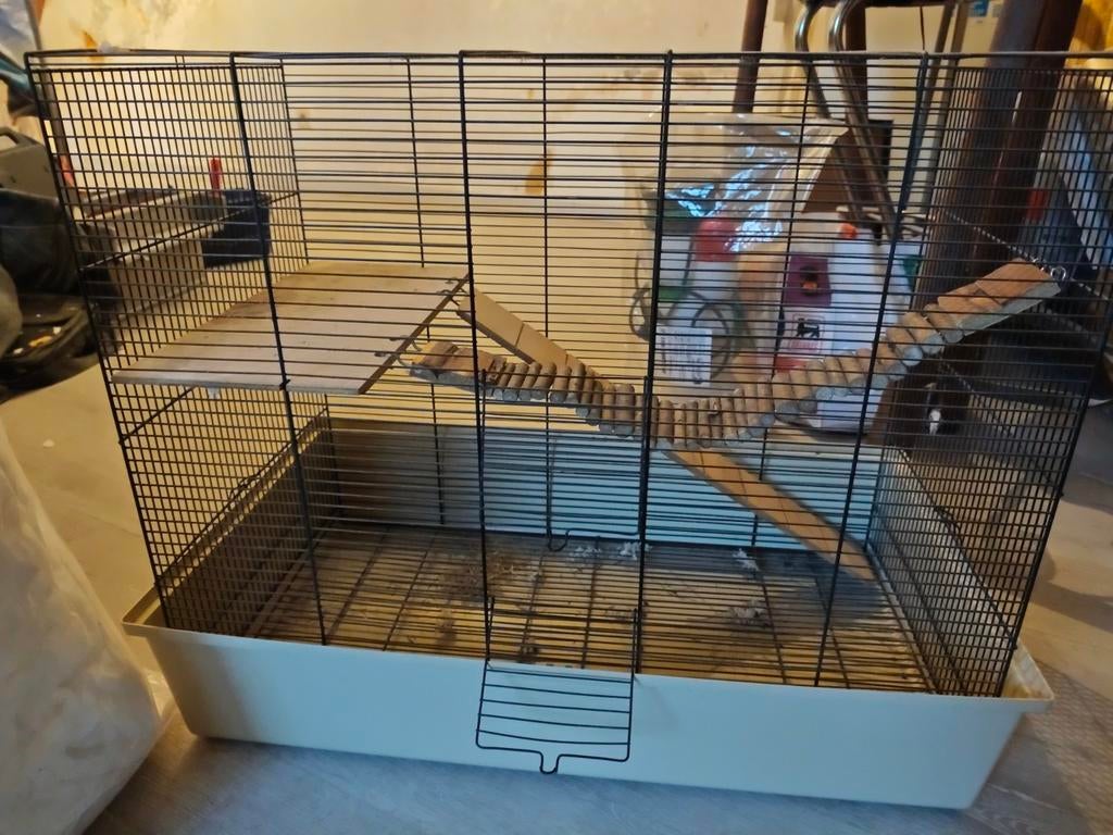 Cage a hamster avec accessoires, Dieren en Toebehoren, Knaagdieren en Konijnen | Hokken en Kooien, Gebruikt, Kooi, 60 tot 90 cm