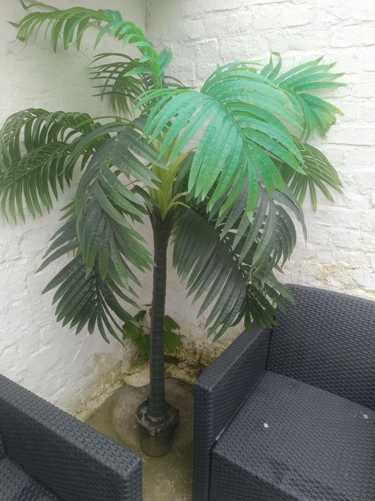 Palmboom plastic., Ophalen