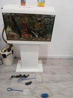 Aquarium te koop met alle toebehoren 110€, Dieren en Toebehoren, Ophalen