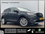 Opel Grandland X 1.2 Turbo Innovation Aut8 Navi Camera DAB H, Argent ou Gris, Achat, Electronic Stability Program (ESP), Entreprise