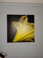 Te koop 3 grote kaders met bloem, Ophalen