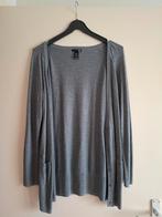 Cardigan, H&M, Zo goed als nieuw, Grijs, Ophalen