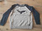Trui, Ophalen, Gebruikt, Jongen, Trui of Vest