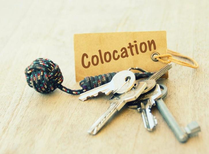 Colocation sur Schaerbeek, Immo, Chambre recherche