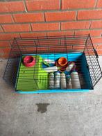 Cavia kooi, Dieren en Toebehoren, Ophalen, Gebruikt, Kooi, Cavia