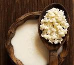 Melk Kefir korrels - actief en klaar voor gebruik!, Diversen, Levensmiddelen, Ophalen