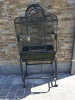 Papegaaien en parkieten kooi, Dieren en Toebehoren, Ophalen, Zo goed als nieuw