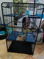Cage Perfect pour furets, rats, chinchillas, Animaux & Accessoires, Autres accessoires pour animaux, Enlèvement, Utilisé
