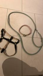 Laisse collier et harnais chien, Ophalen, Gebruikt