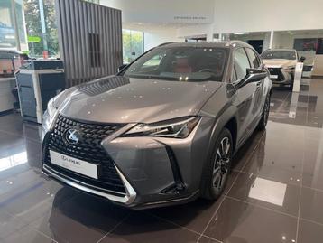 Lexus UX 250h Explore Line, Autos, Achat, Euro 6, Entreprise, Autres couleurs