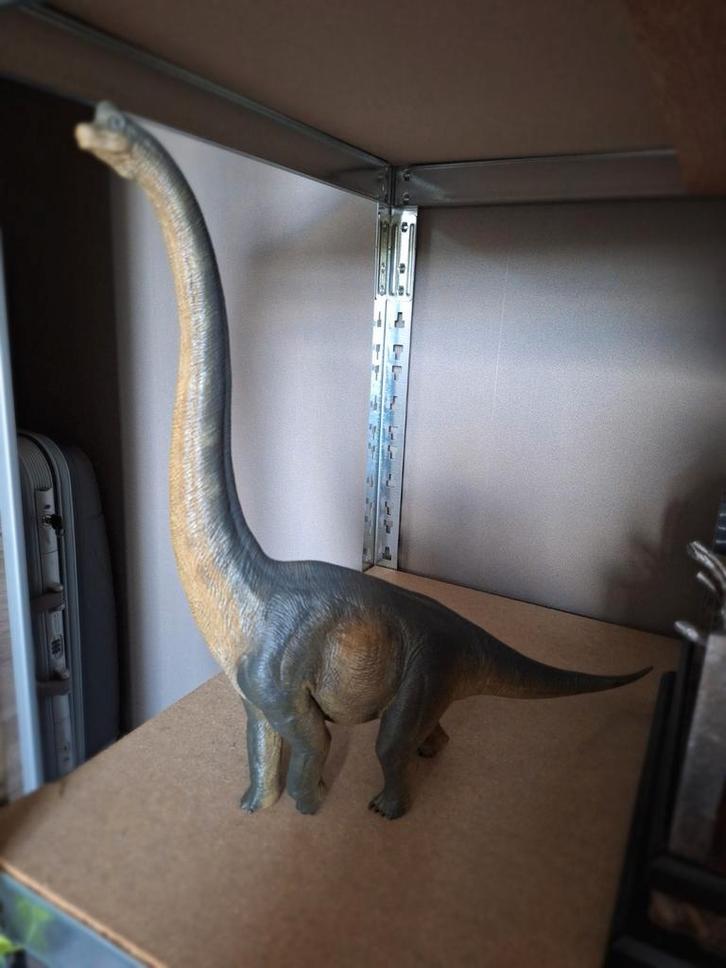Nanmu Brachiosaurus gris, Collections, Statues & Figurines, Enlèvement