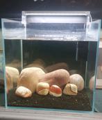 Aquarium & toebehoren, Ophalen
