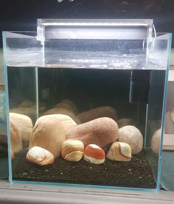 Aquarium & toebehoren  beschikbaar voor biedingen