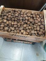 okkernoten te koop prijs per kilo, Diversen, Ophalen