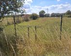 Landbouwgrond 2203 m2 te Schelle., Immo, Schelle, 1500 m² of meer