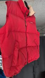 Tommy Hilfiger body warmer, Ophalen of Verzenden, Zo goed als nieuw, Maat 38/40 (M)