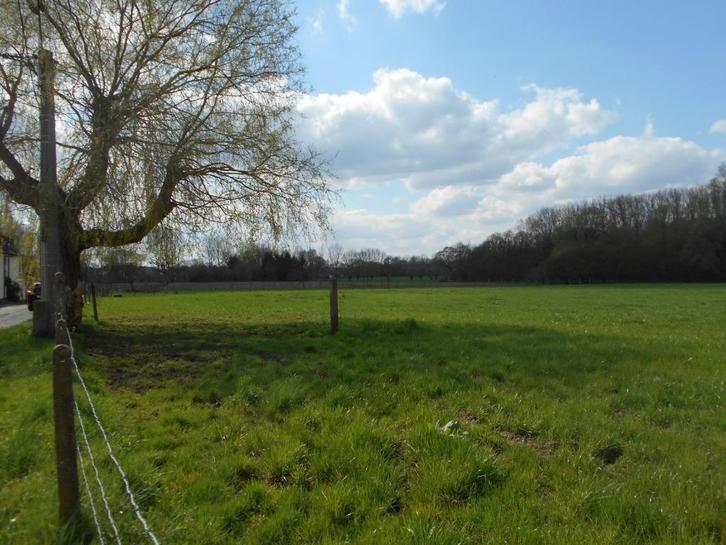 Landbouwgrond / weide, Immo, Terrains & Terrains à bâtir, 1500 m² ou plus, Ventes sans courtier
