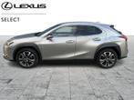 Lexus UX 250h Executive Line + navi + sensor, Auto's, Lexus, Te koop, 2000 cc, Zilver of Grijs, Stadsauto