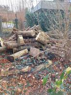 Brandhout populier en spar, Jardin & Terrasse, Bois de chauffage, Enlèvement