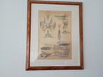 Kaders met glas 2 stuks, Antiquités & Art, Art | Dessins & Photographie, Enlèvement