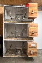 Kweektoren te koop, Dieren en Toebehoren, Ophalen of Verzenden, Zo goed als nieuw