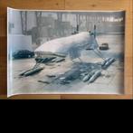 poster panamarenko, Antiek en Kunst, Ophalen of Verzenden