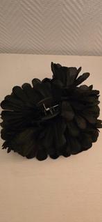 pince à cheveux créoles, Enlèvement ou Envoi