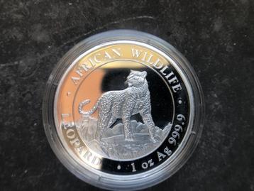 2022 Somalia - Leopard - 1 oz silver beschikbaar voor biedingen