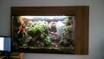 Terrarium, Ophalen, Gebruikt, Terrarium of Paludarium