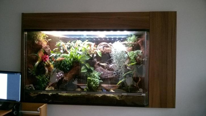 Terrarium met toebehoren  L160cm x H 93cm x D 50cm, Dieren en Toebehoren, Reptielen en Amfibieën | Toebehoren, Gebruikt, Terrarium of Paludarium