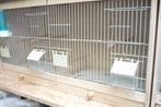 enkele kweek kooien met let verlichting tk, Dieren en Toebehoren, Vogels | Overige Vogels, Tropenvogel