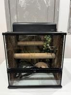 Terrarium exo terra 45x45x45 tout équipé, Dieren en Toebehoren, Reptielen en Amfibieën | Toebehoren, Ophalen, Gebruikt, Terrarium of Paludarium