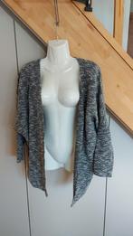 gilet Manche 3/4 T 38, Kleding | Dames, Truien en Vesten, Ophalen of Verzenden, Zo goed als nieuw, Grijs