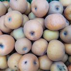 POMMES ANCIENNE VARIETE RARE "PATTE DE LOUP", Articles professionnels, Enlèvement