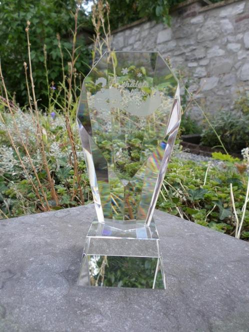 Glazen trofee 3e prijs Schaatsbaan Kerstchalets Sneeuweijs, Hobby en Vrije tijd, Feestartikelen, Zo goed als nieuw, Versiering