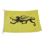 Vlaamse Leeuw - vlag/vaandel, Ophalen of Verzenden, Gebruikt