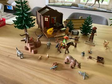 Playmobil de boshut beschikbaar voor biedingen