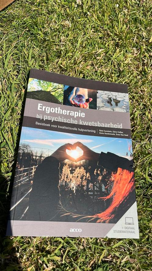 Nele Castelein - Ergotherapie bij psychische kwetsbaarheid, Boeken, Studieboeken en Cursussen, Ophalen of Verzenden