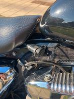 Harley sportster, Motoren, 2 cilinders, 883 cc, Particulier, Meer dan 35 kW