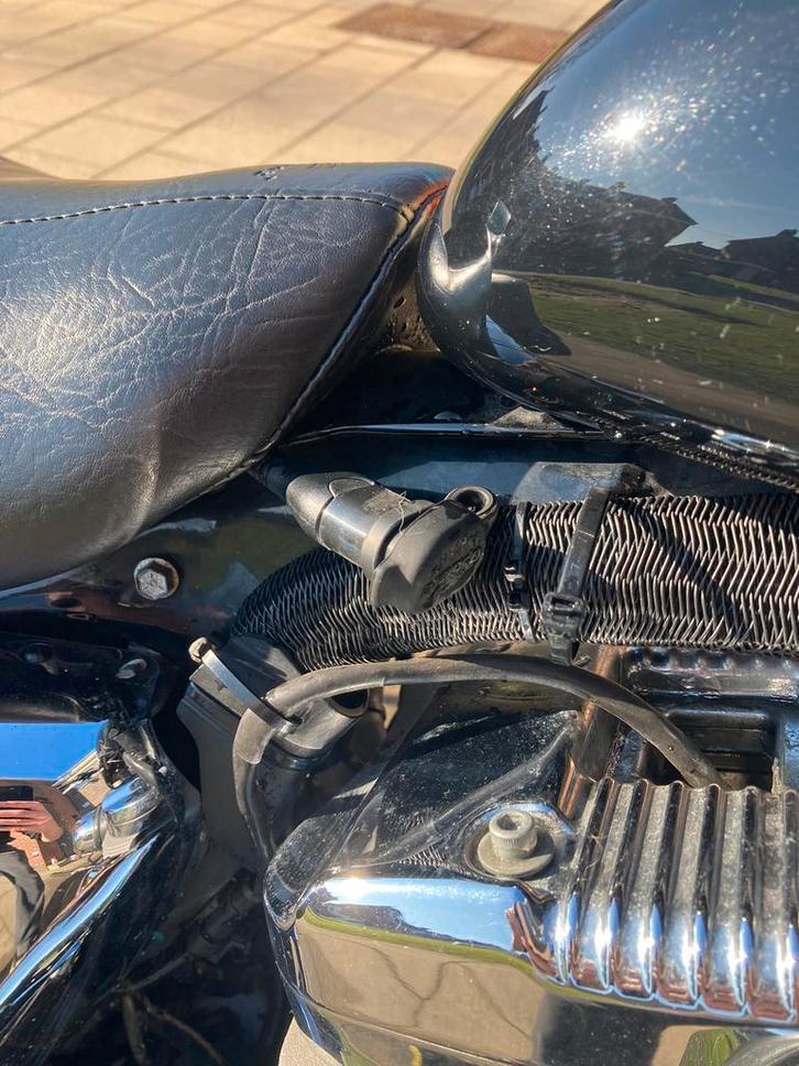 Harley sportster, Motoren, Motoren | Harley-Davidson, Particulier, Chopper, meer dan 35 kW, 2 cilinders, Motorrijbewijs A, Ophalen
