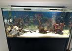 Aquarium Aquatlantis 264L complet avec son meuble, Enlèvement, Comme neuf, Aquarium d'eau douce rempli