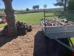 Brandhout Kerselaar 3,7 blokjes fruitboom, 3 tot 6 m³, Ophalen, Overige houtsoorten, Stammen