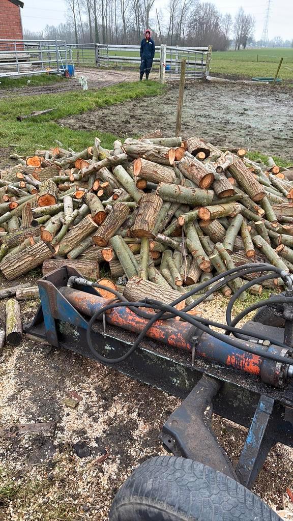Brandhout, Tuin en Terras, Brandhout, Blokken, Overige houtsoorten, 6 m³ of meer, Ophalen of Verzenden