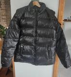 Nieuwe winterjas maat L, Ophalen, Nieuw, Maat 52/54 (L), Zwart
