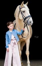 D Pony Dressuur  Rika Boheme, Dieren en Toebehoren, Dressuurpony, 11 jaar of ouder, D pony (1.37m tot 1.48m), Merrie